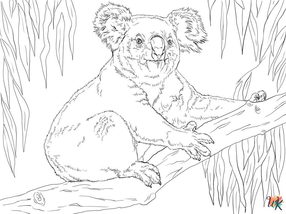 coloring Koala pages