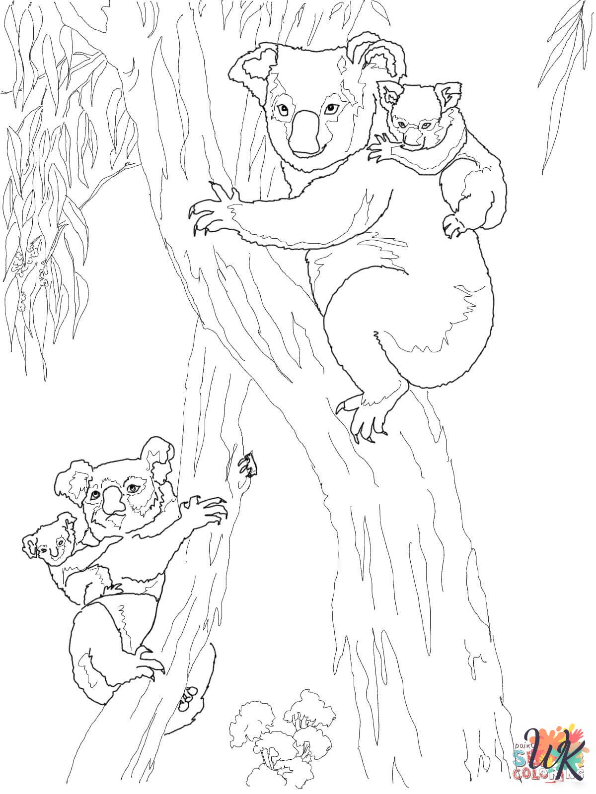detailed Koala coloring pages for adults