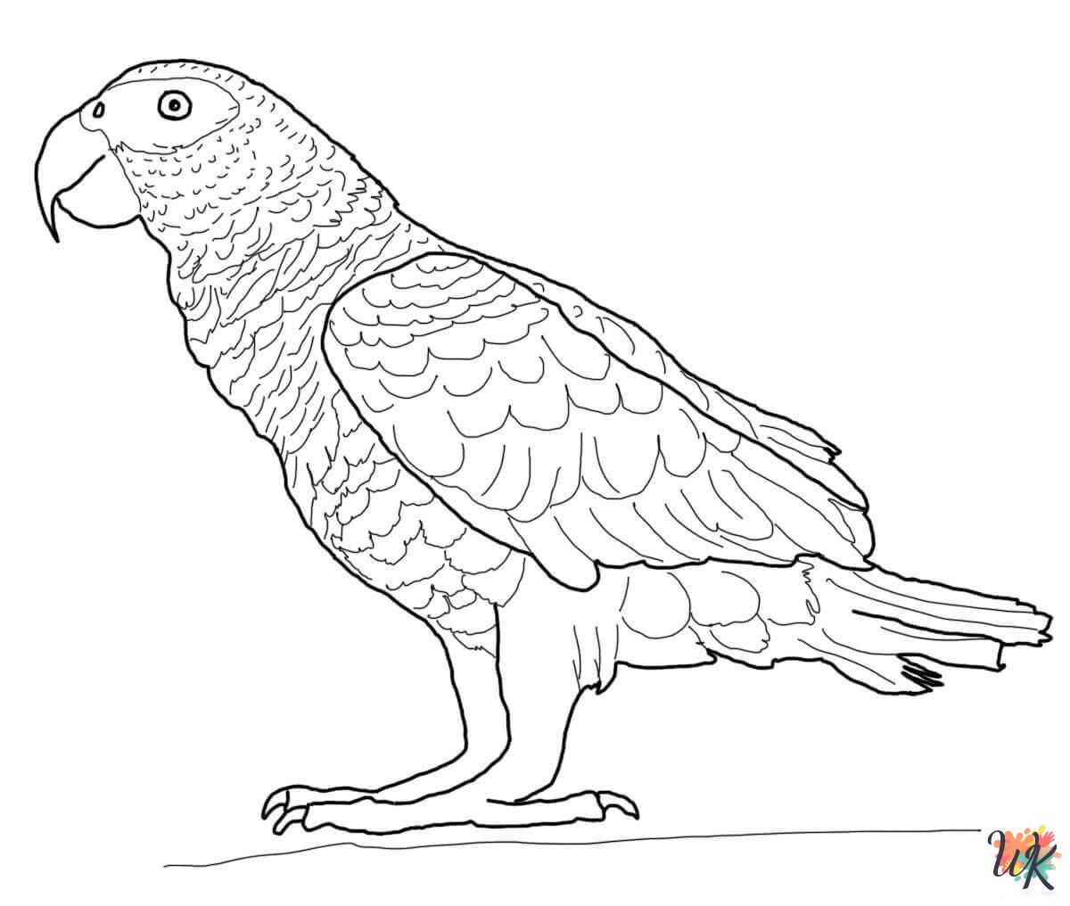 Parrot coloring pages free