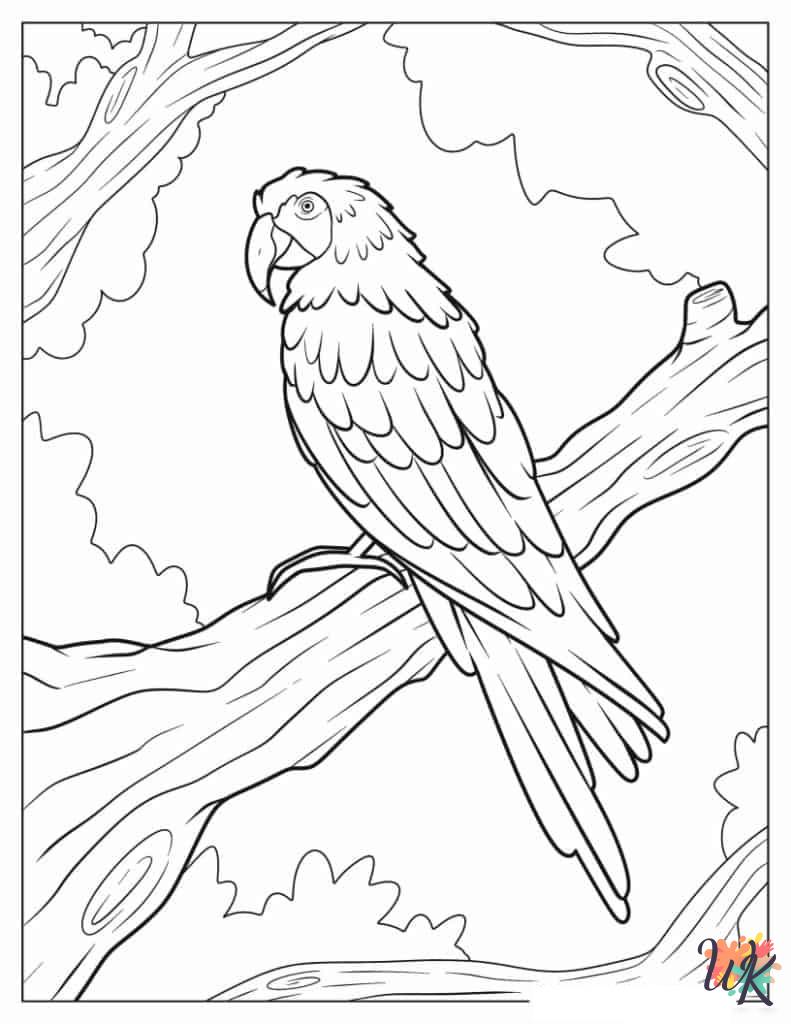free full size printable Parrot coloring pages for adults pdf