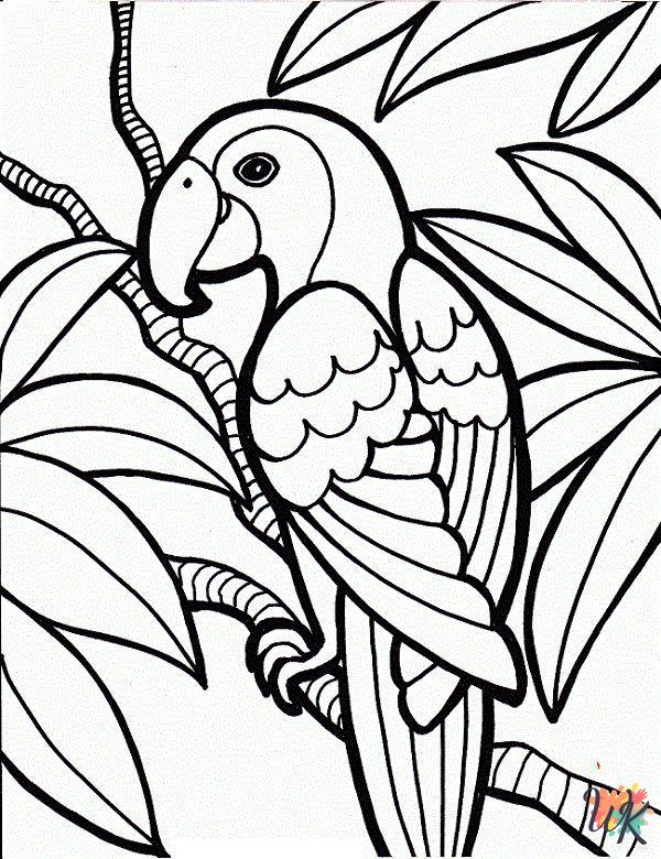 Parrot coloring book pages