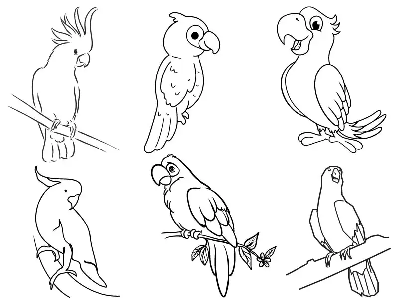 Parrot themed coloring pages