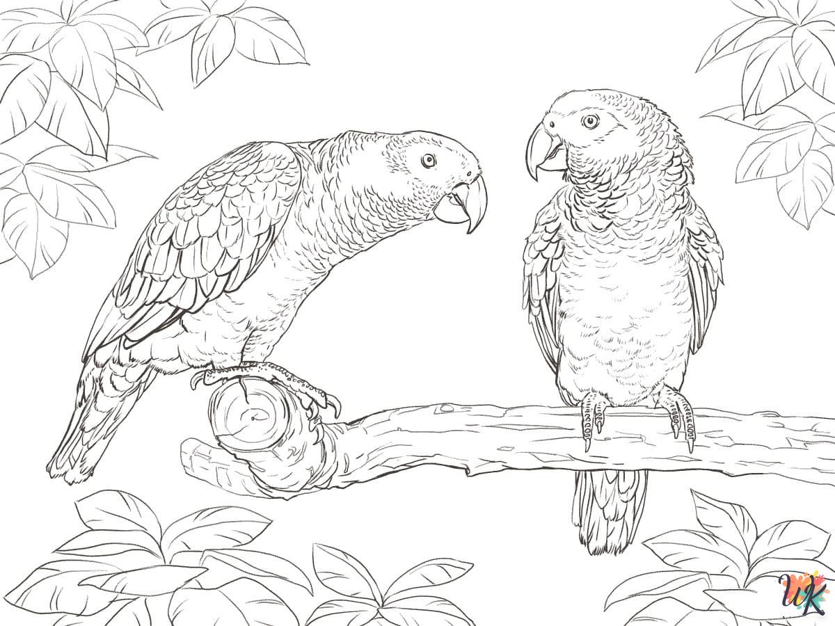 detailed Parrot coloring pages