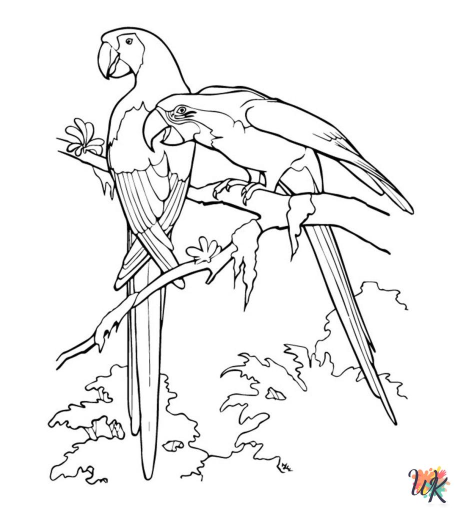 coloring pages for kids Parrot