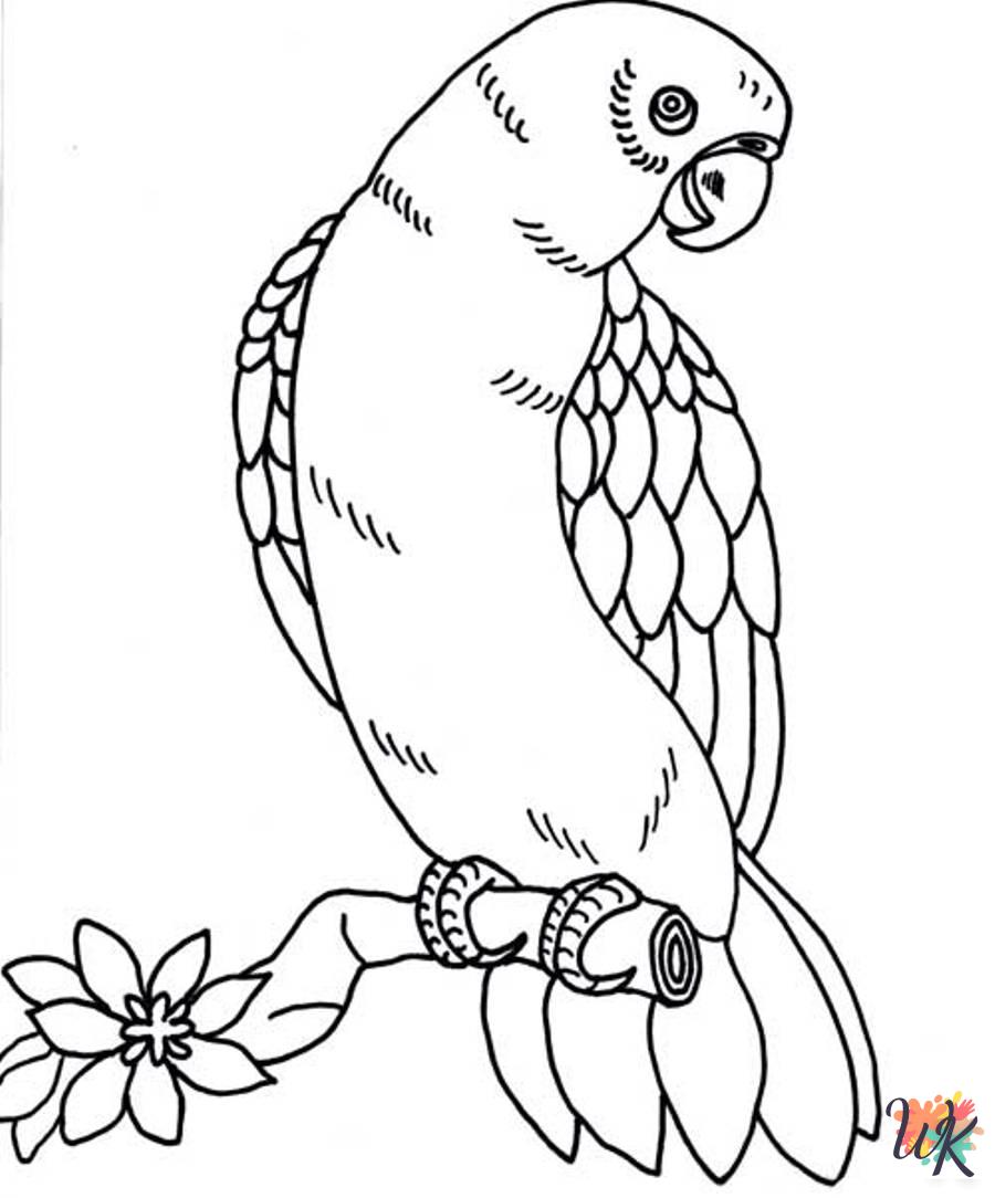 coloring pages for Parrot
