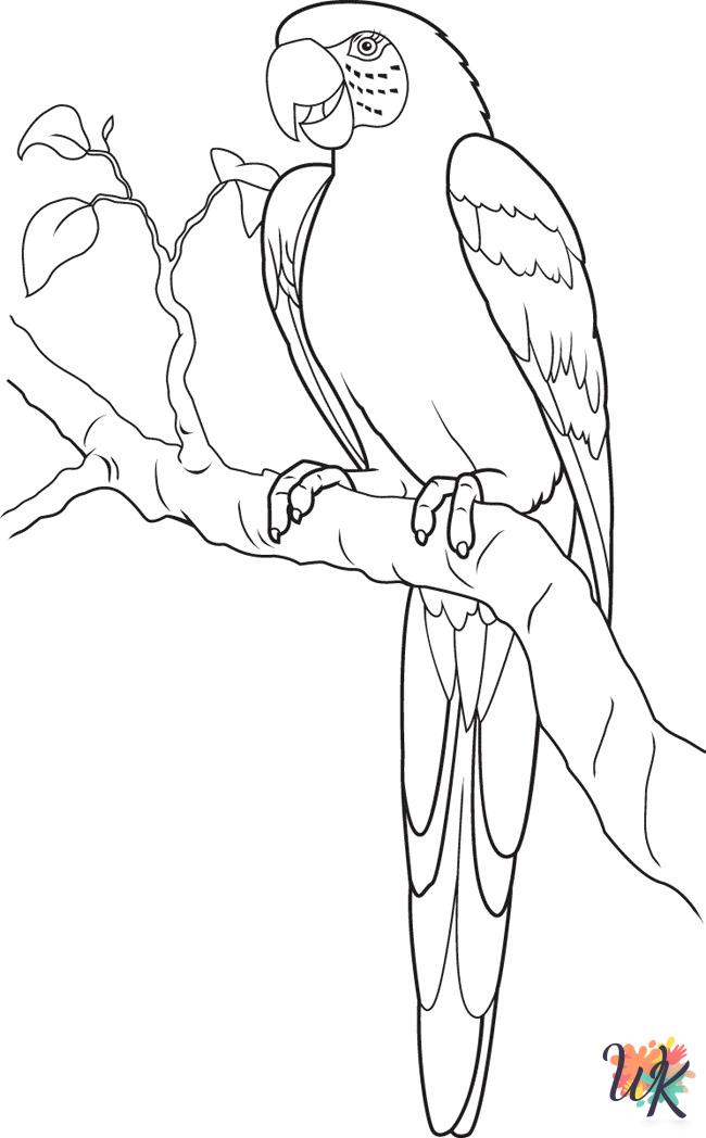 Parrot coloring pages for preschoolers