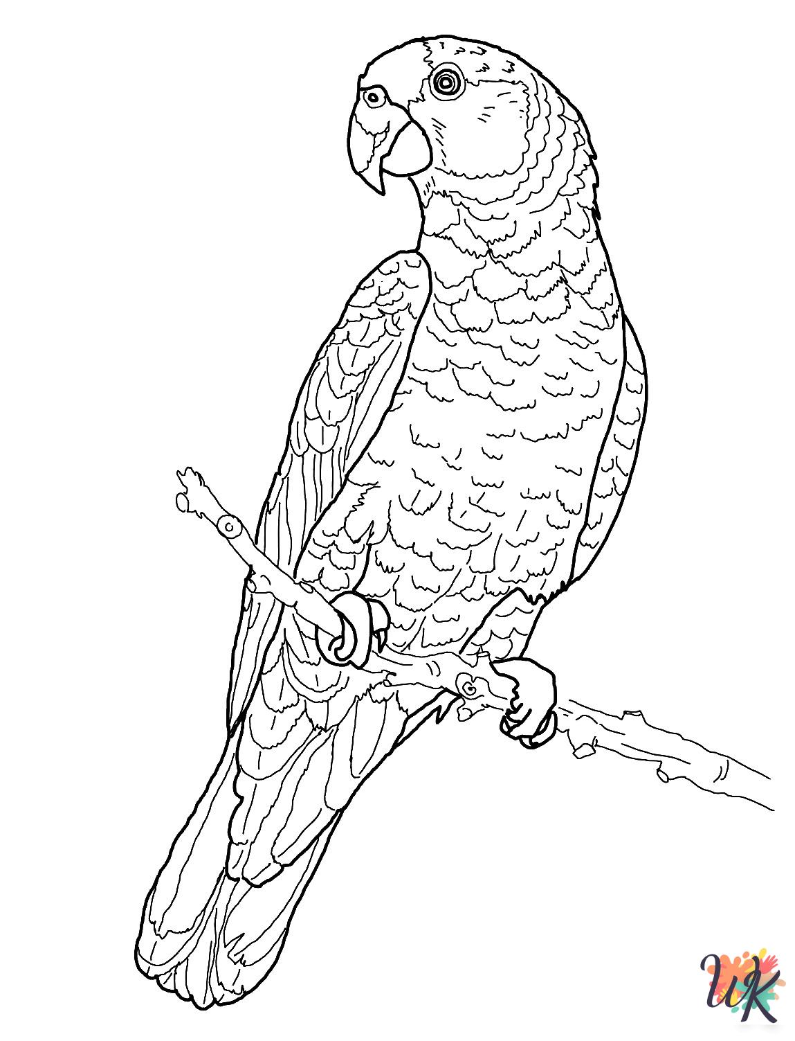 cute Parrot coloring pages
