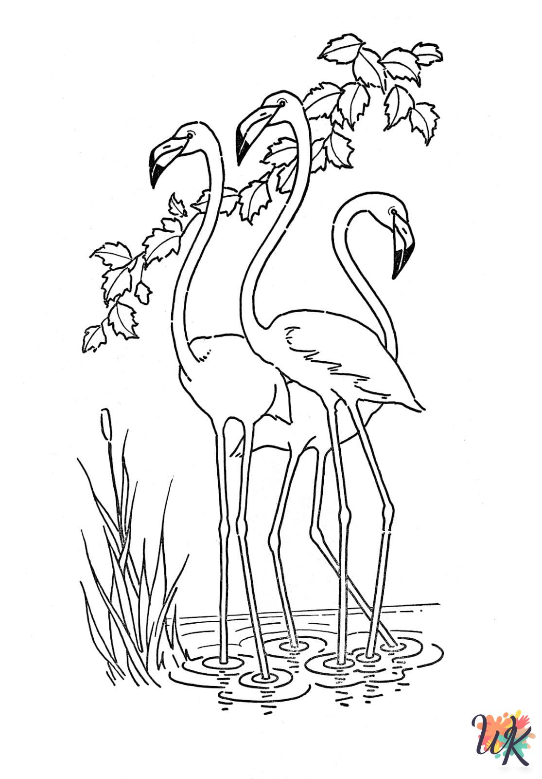 preschool Flamingo coloring pages