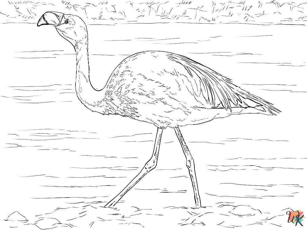 free Flamingo coloring pages