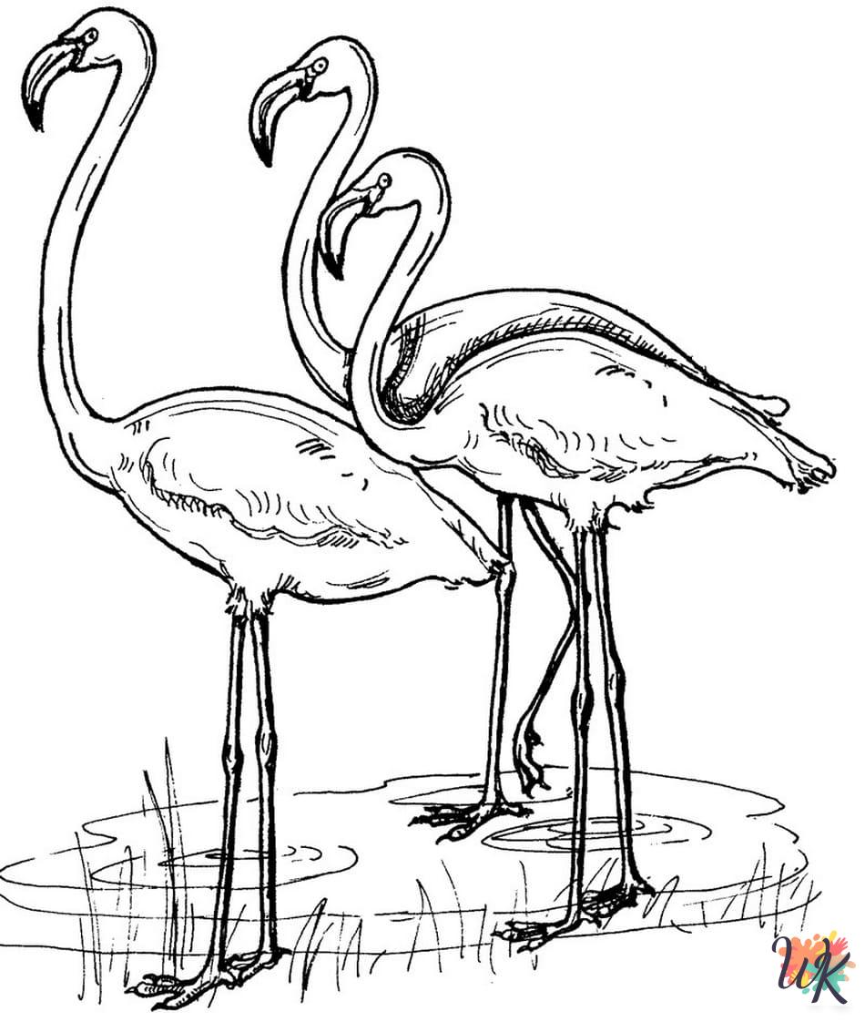 free Flamingo printable coloring pages