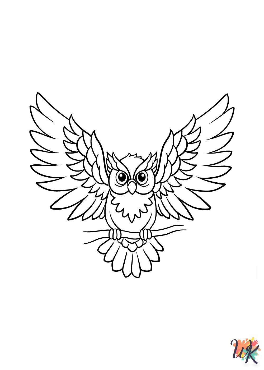 coloring Owl pages