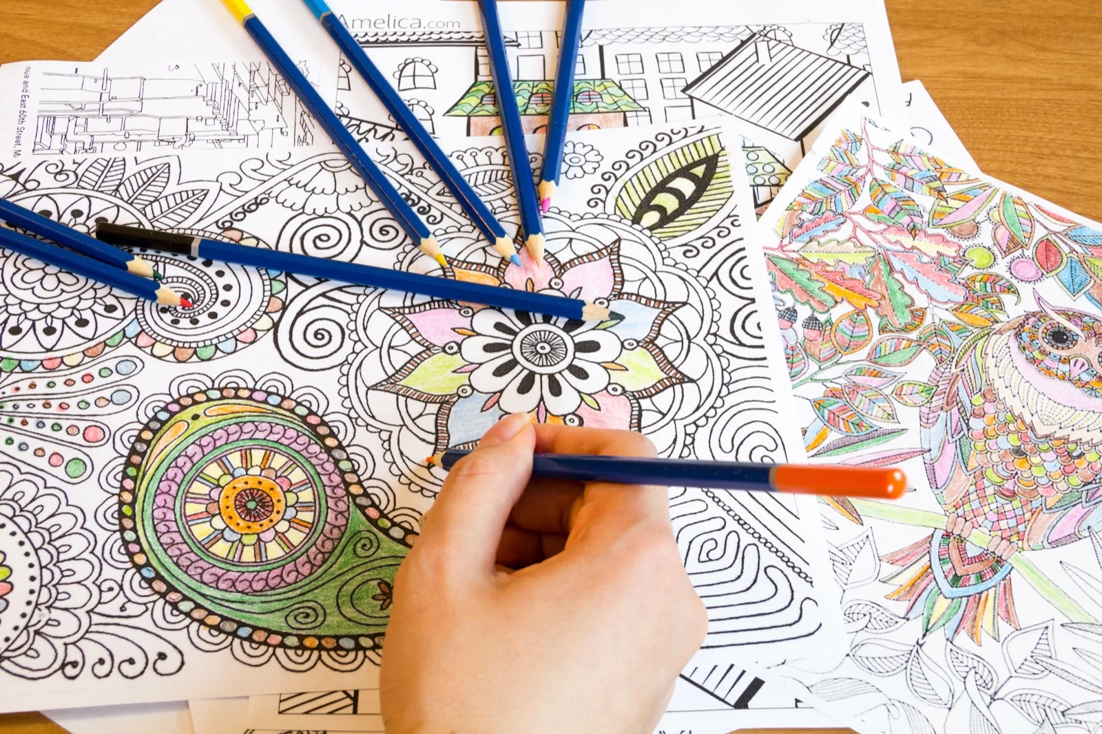 Why Adult Coloring Pages are So Popular: A Comprehensive Guide | WK Community