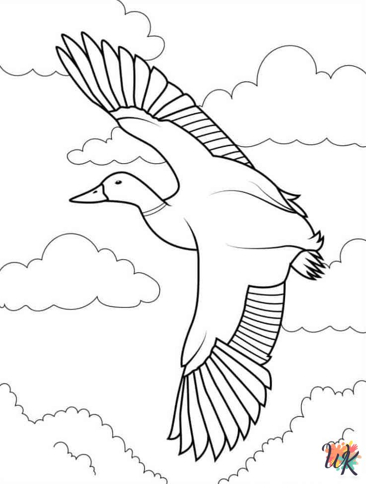 free adult Ducks coloring pages