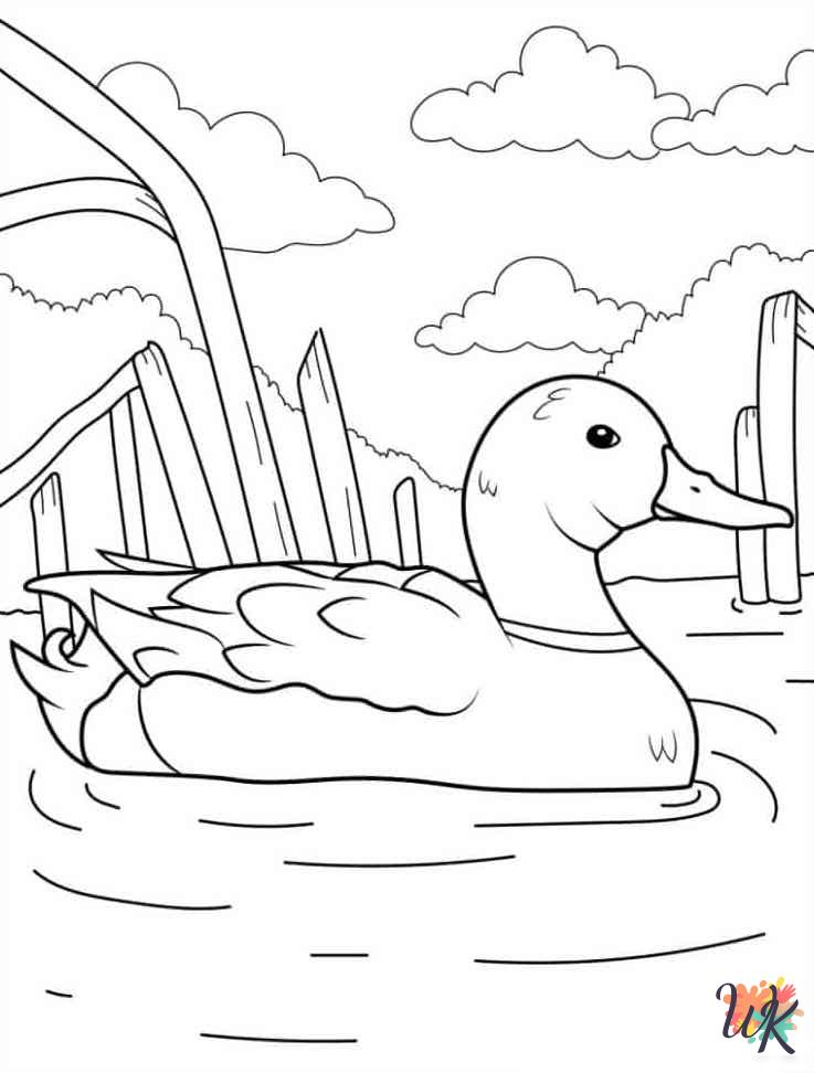 Ducks coloring pages for adults