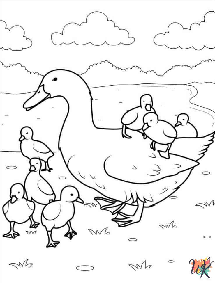 Ducks coloring book pages
