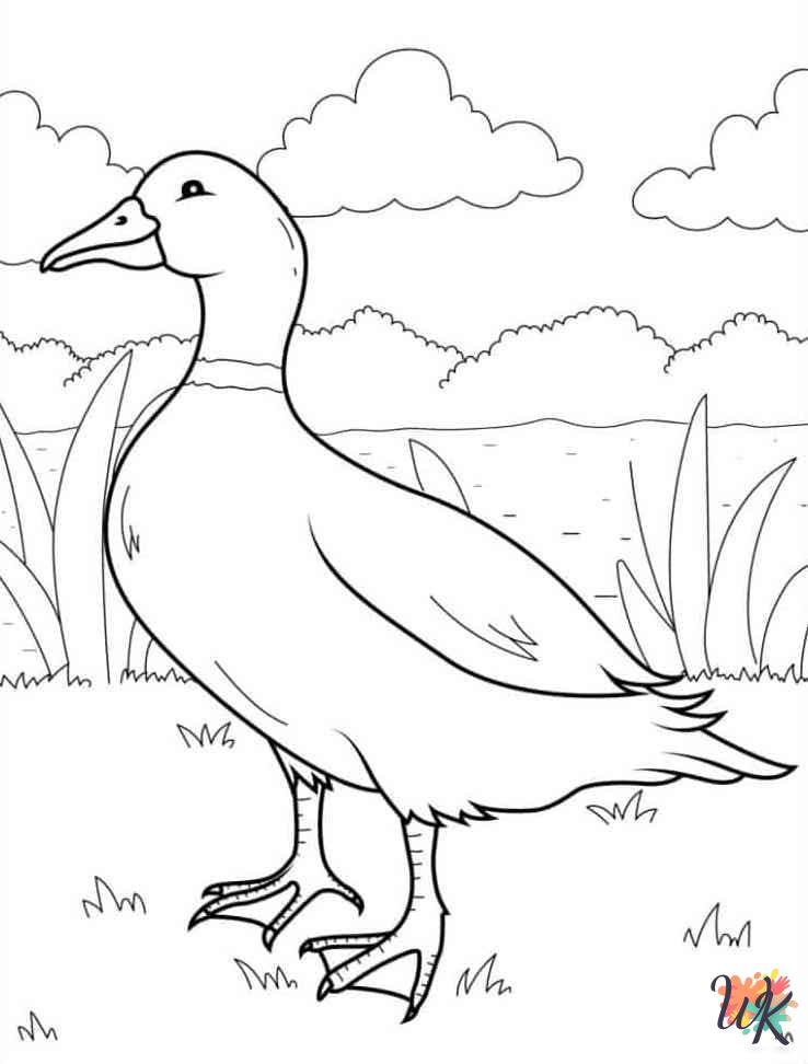 coloring pages Ducks