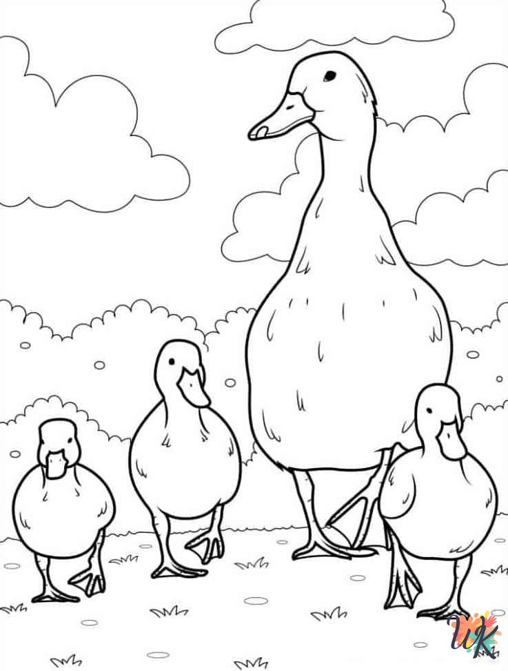 Ducks coloring pages for adults easy