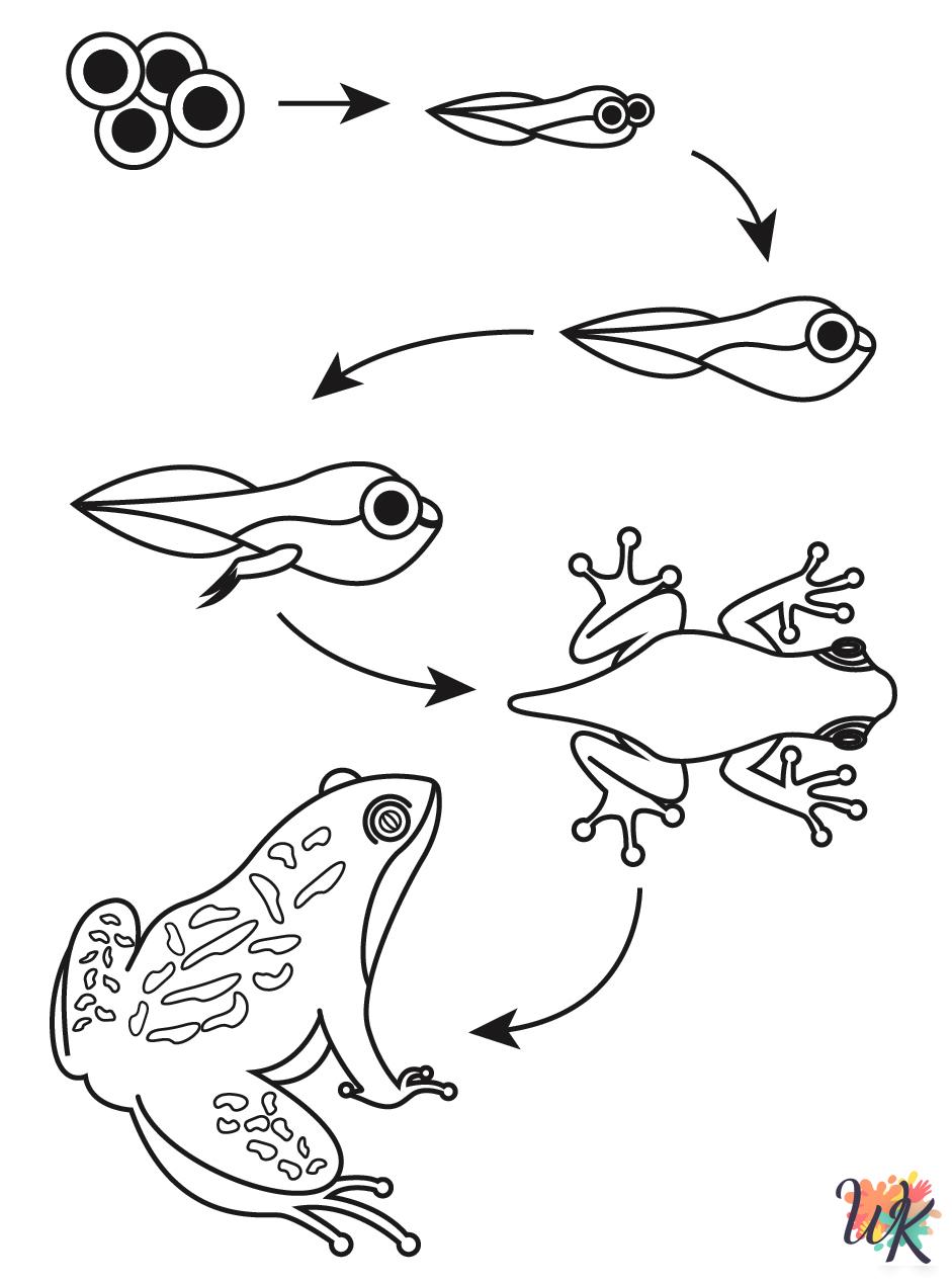 cute Frog coloring pages