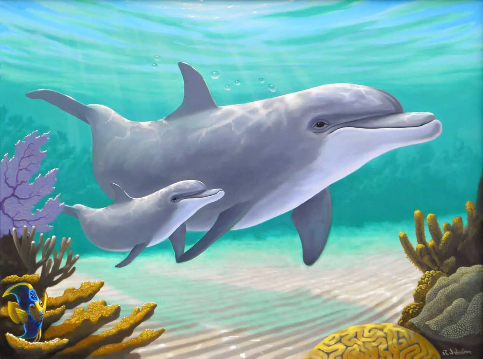 34 Dolphin Coloring Pages