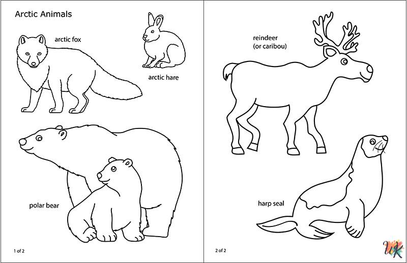 kids Arctic Animals coloring pages