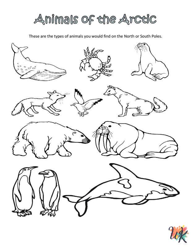 Arctic Animals coloring pages to print