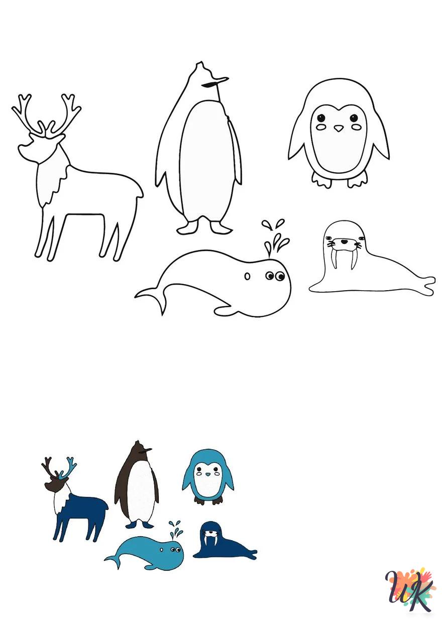 Arctic Animals free coloring pages