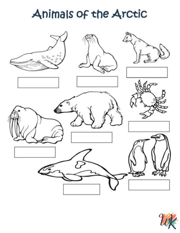 Arctic Animals printable coloring pages