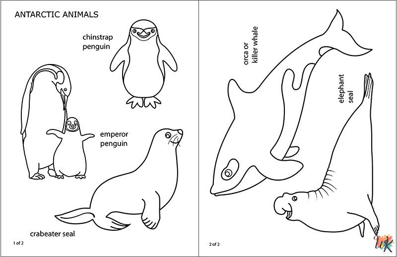 free printable Arctic Animals coloring pages