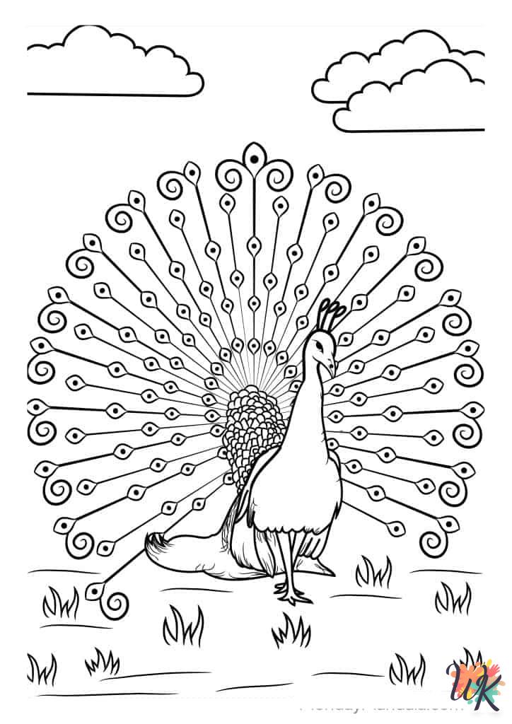 Peacock coloring pages easy