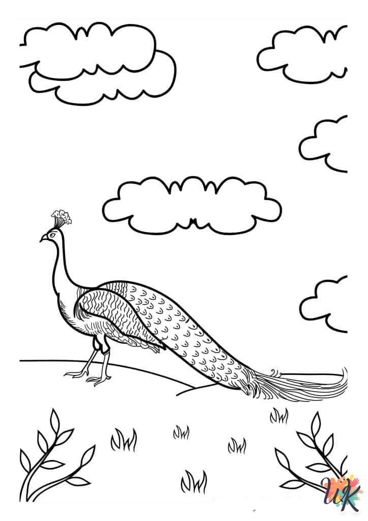 Peacock free coloring pages
