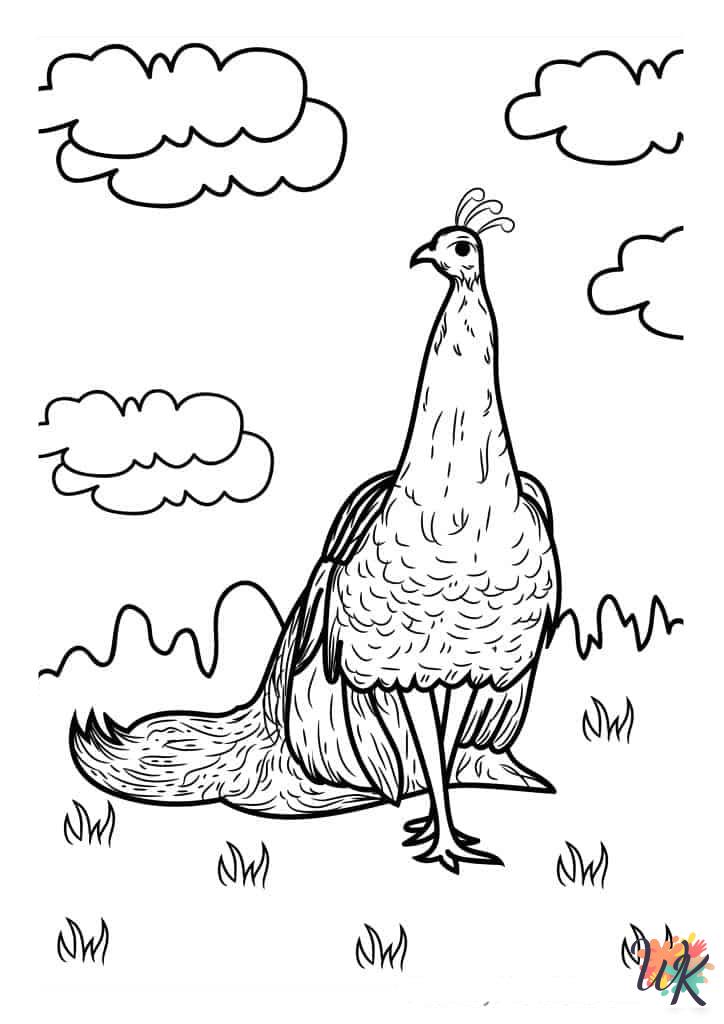 free Peacock coloring pages printable