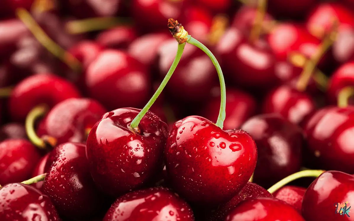 Cherry Coloring Page 1 Cherry Coloring Page
