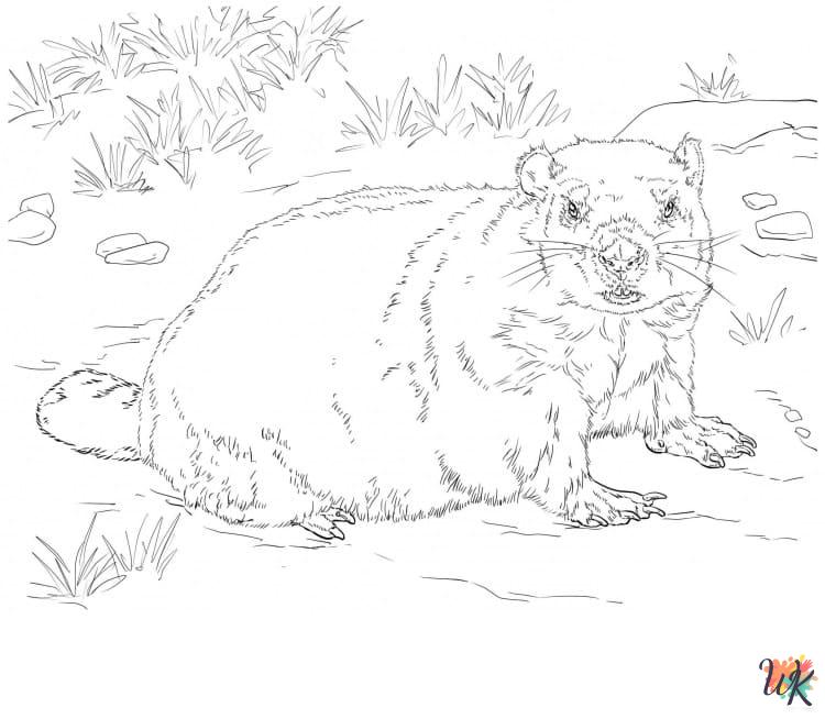 merry Groundhog Day coloring pages