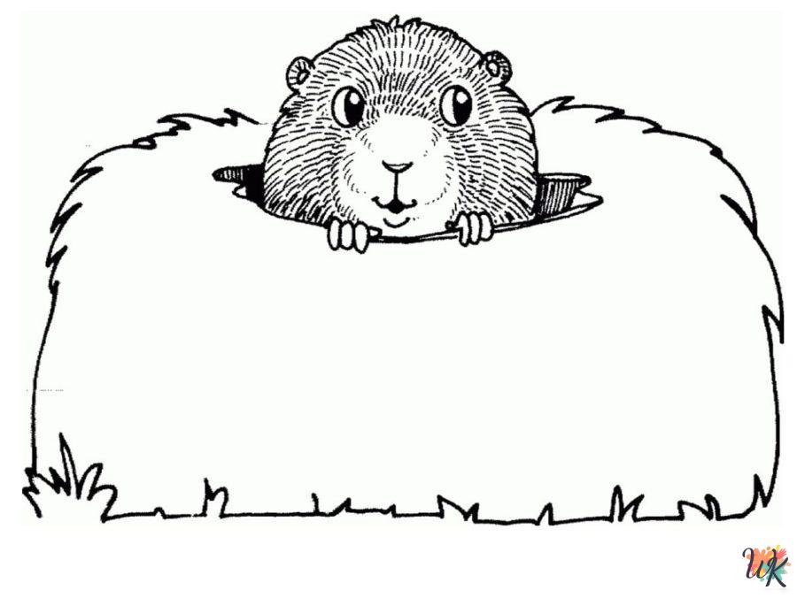 free printable coloring pages Groundhog Day