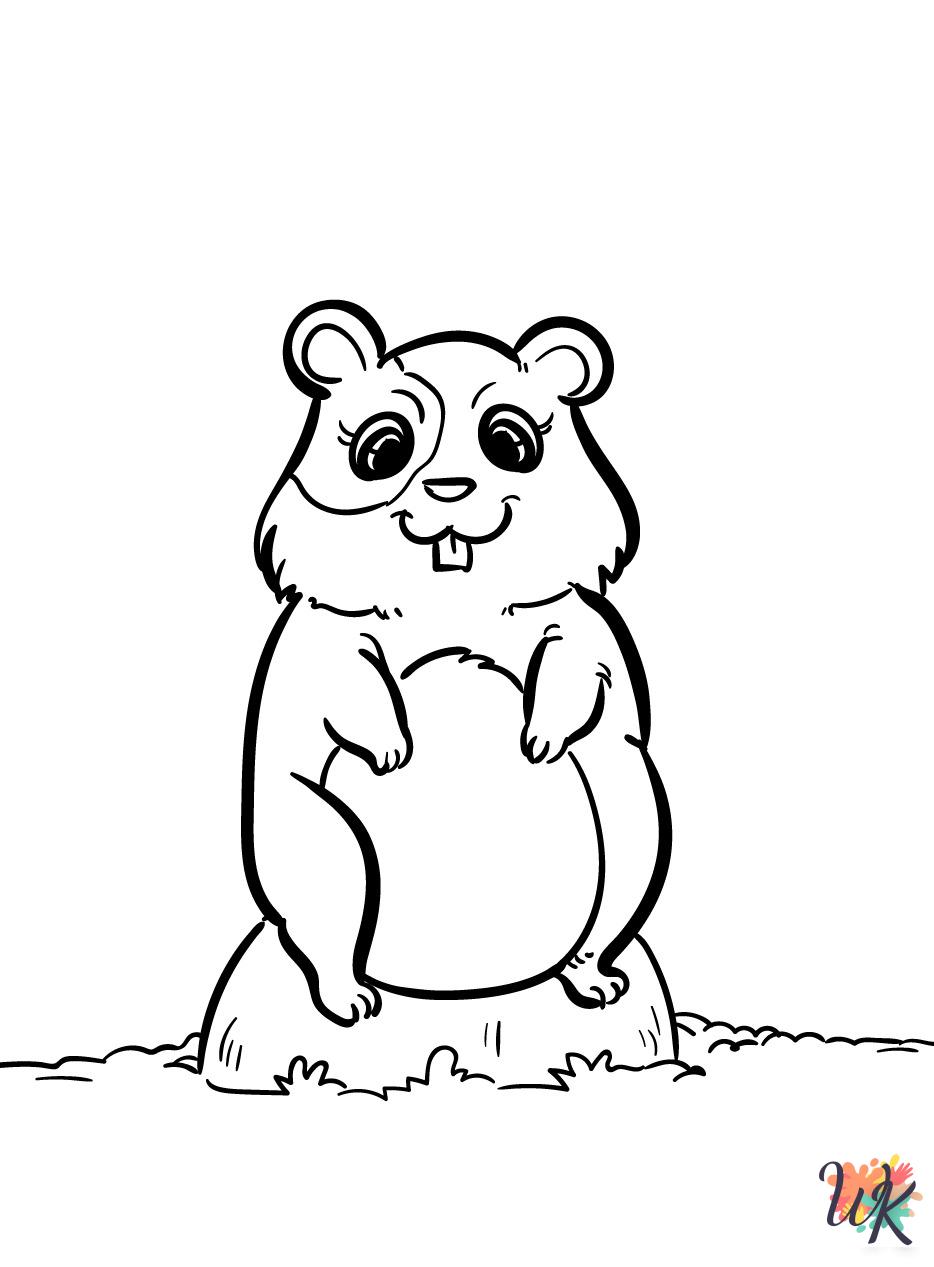 Hamster cards coloring pages