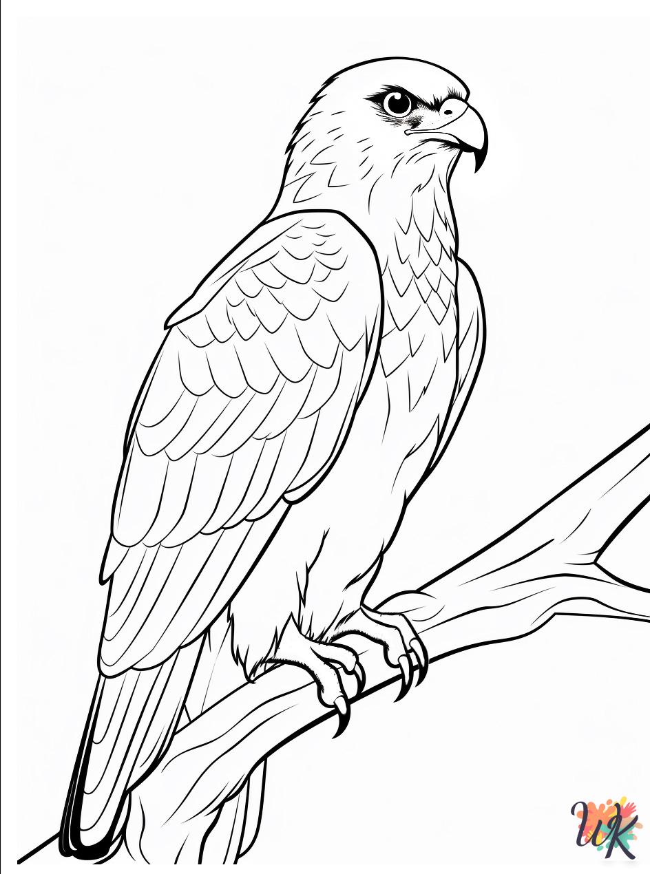 free Hawk coloring pages pdf