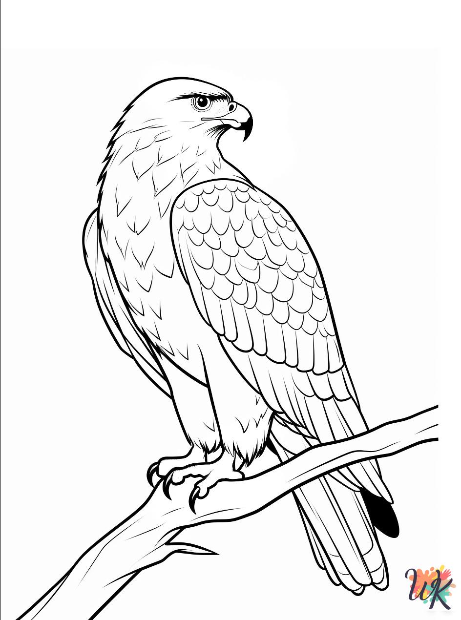 Hawk coloring pages for adults