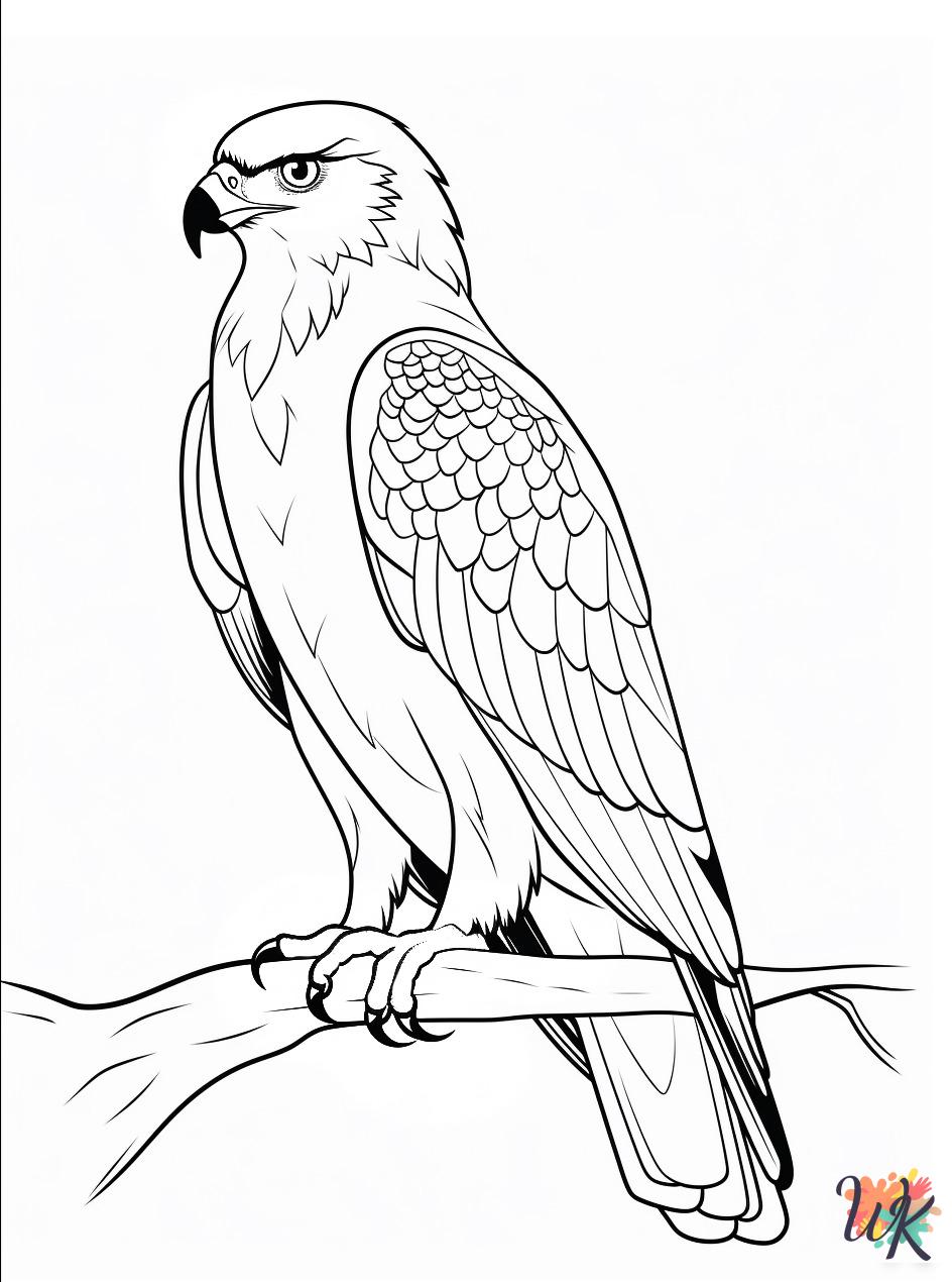 free adult Hawk coloring pages