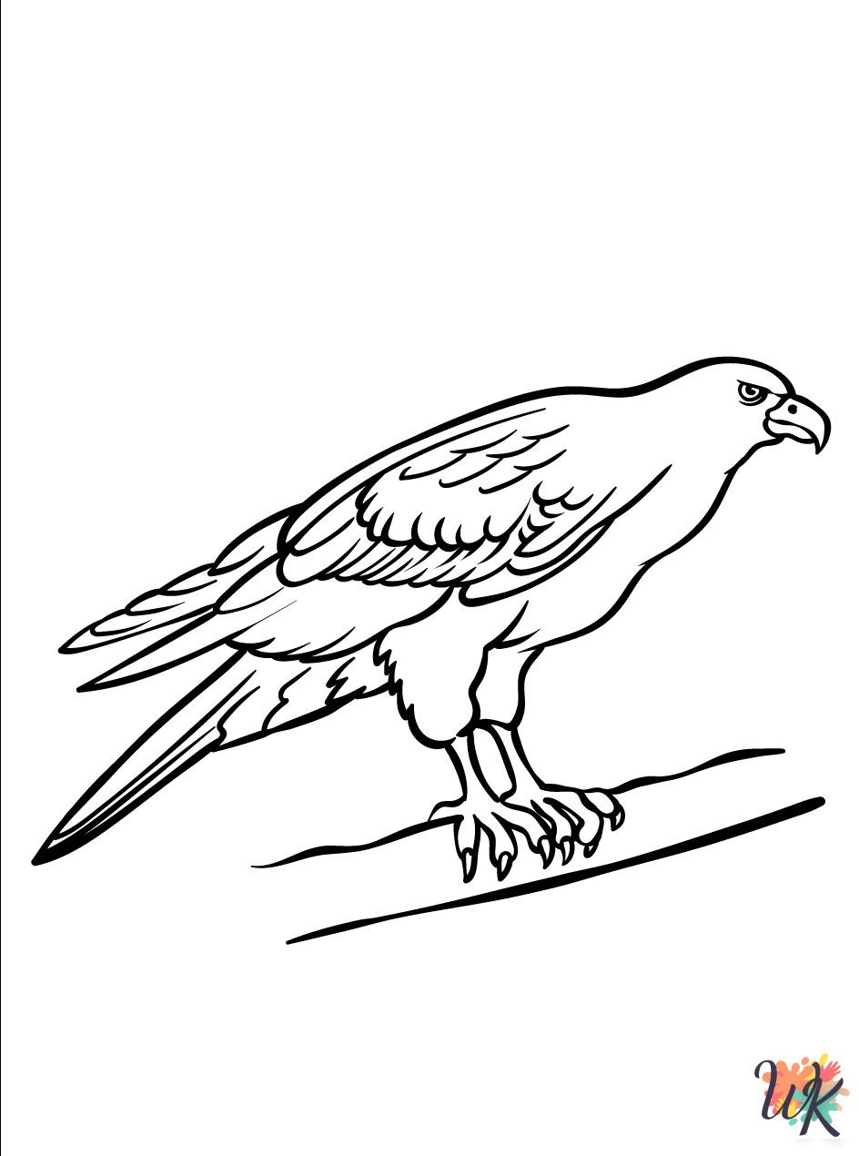 Hawk coloring pages for preschoolers