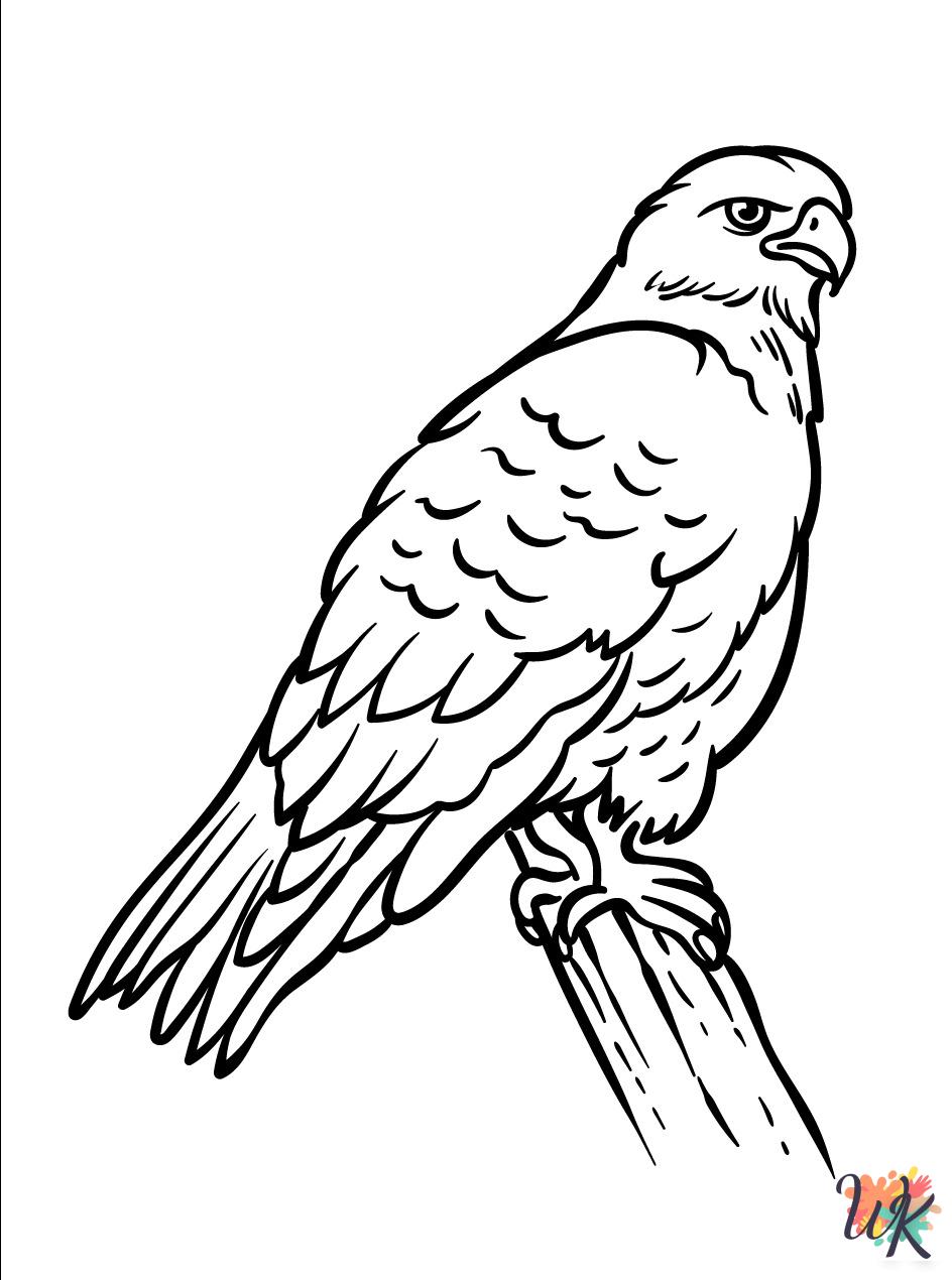 adult coloring pages Hawk