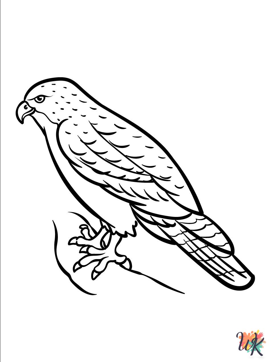 coloring pages for kids Hawk