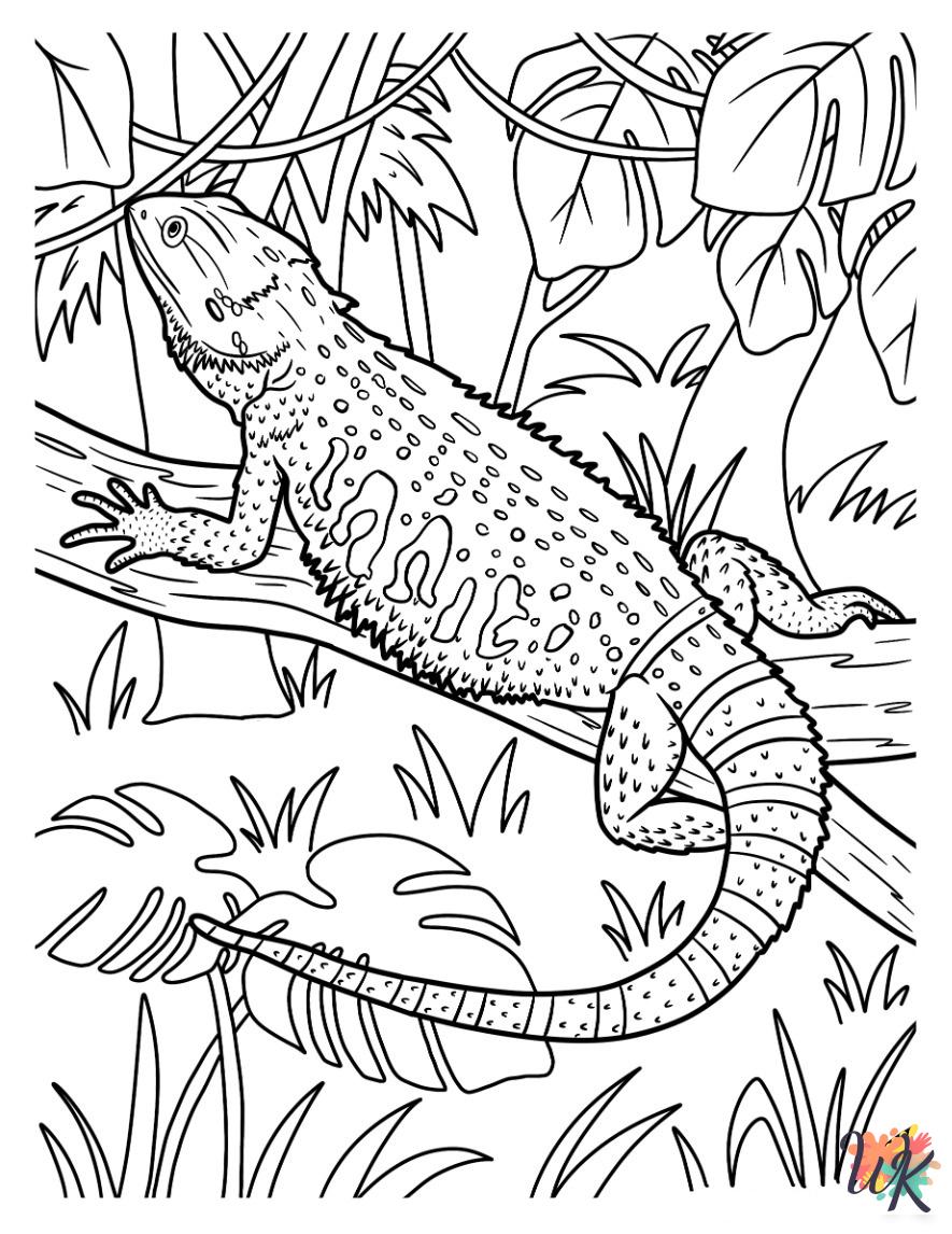 Lizard coloring pages printable free