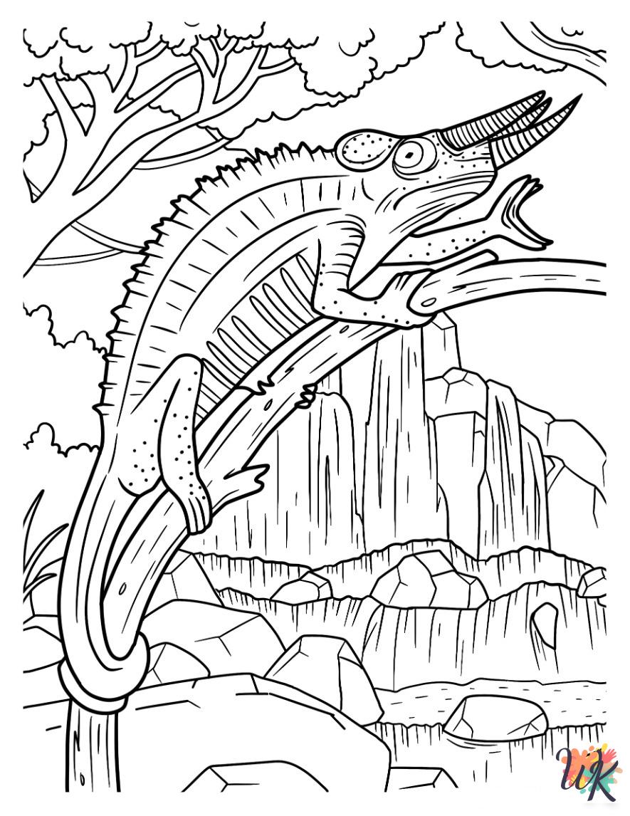 coloring pages for Lizard