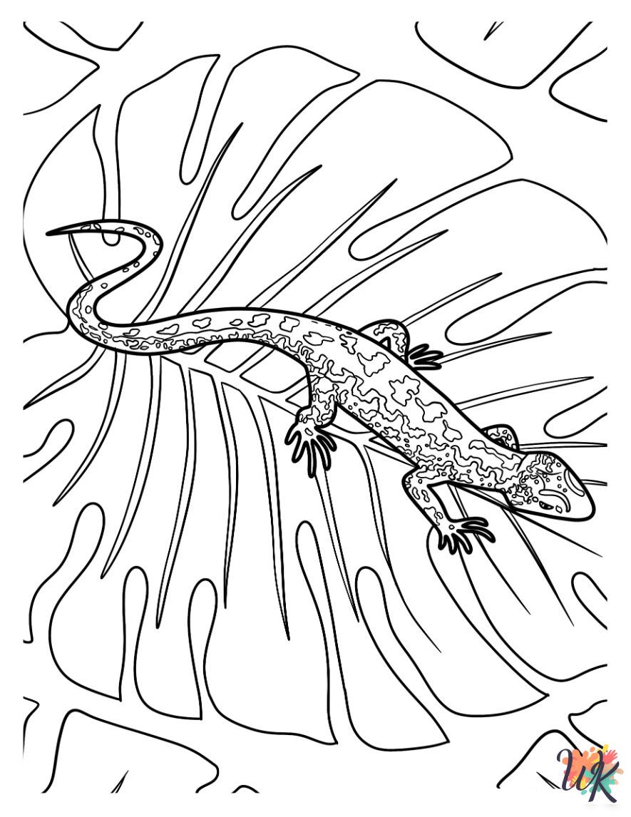 Lizard coloring pages for adults easy