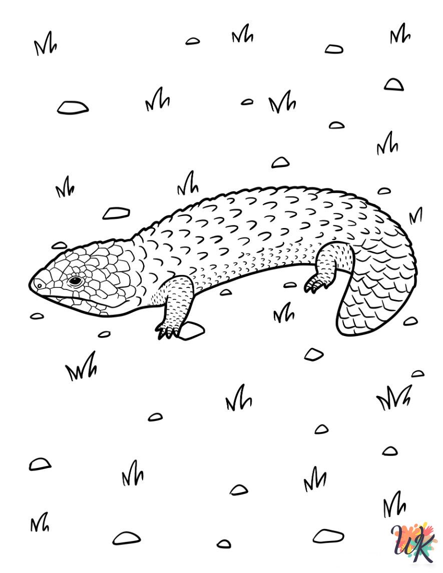 fun Lizard coloring pages