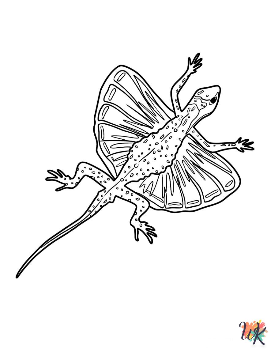coloring pages Lizard