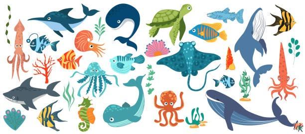 Sea Creature Coloring Pages 31 Sea Creature Coloring Pages
