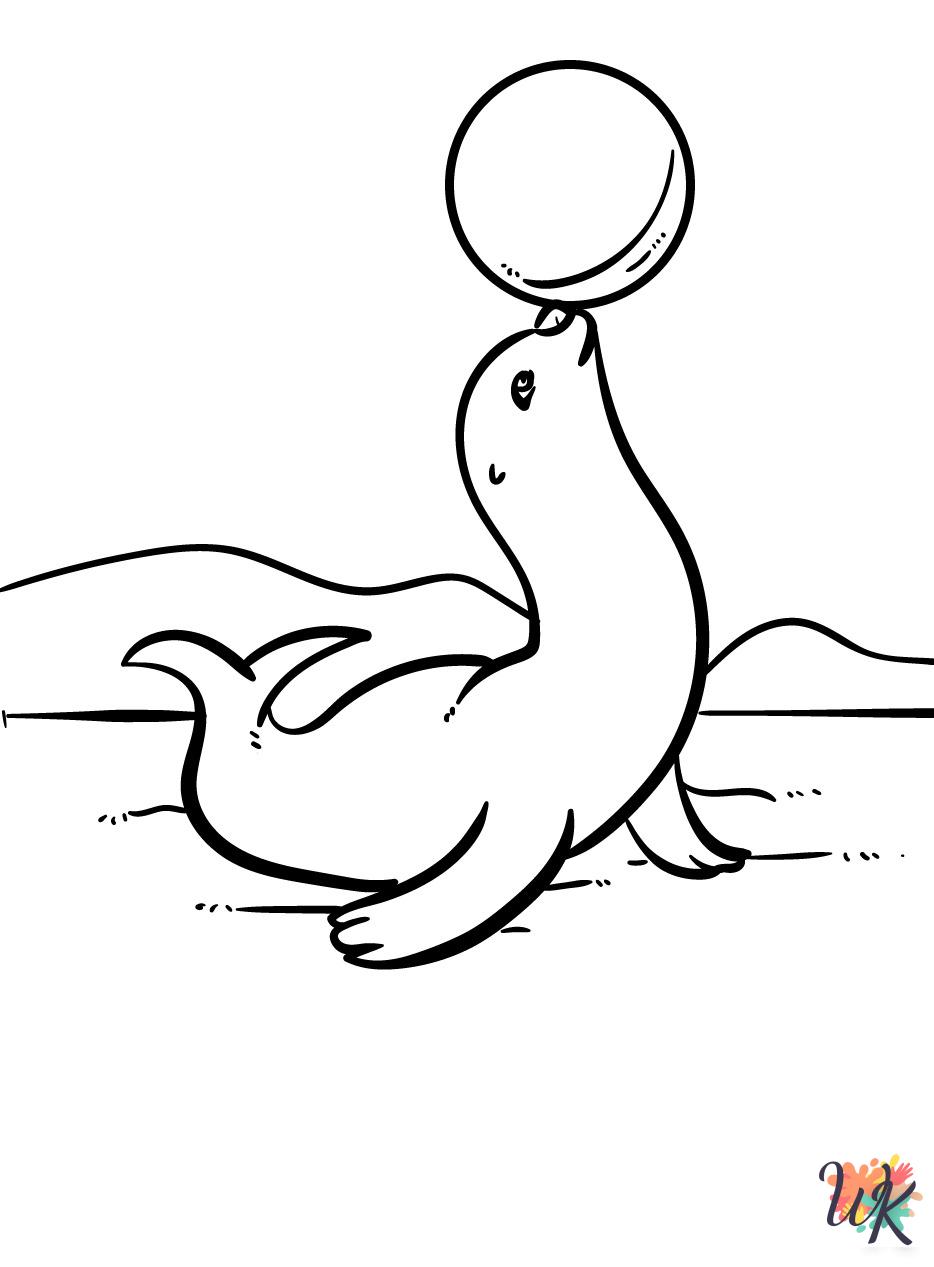 adult coloring pages Seal