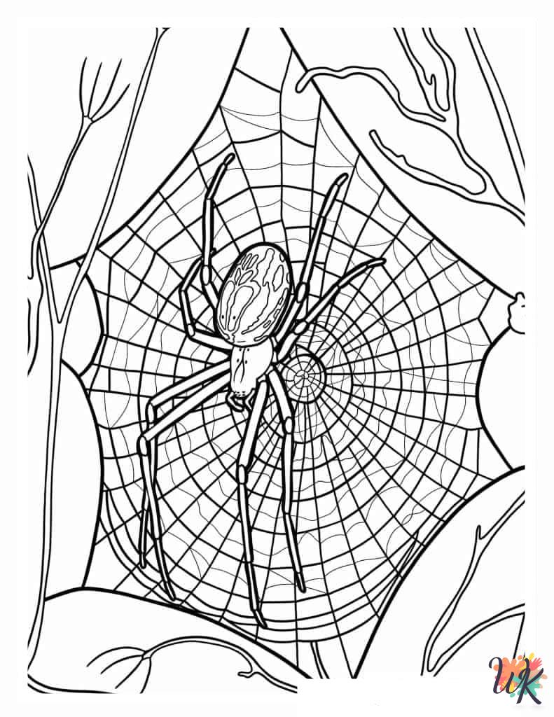 Spider coloring pages for preschoolers