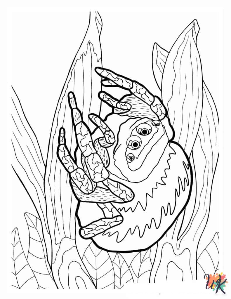 easy cute Spider coloring pages